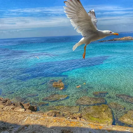 Casa Di Mirko * 加利波利