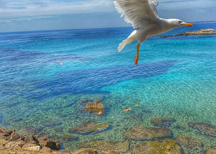 Casa Di Mirko * Gallipoli